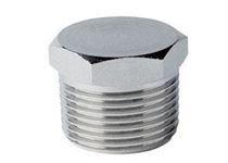 Stainless Steel Blanking Plug Fitting Manufacturer in India Stainless Steel Blanking Plug Fitting Manufacturer in India